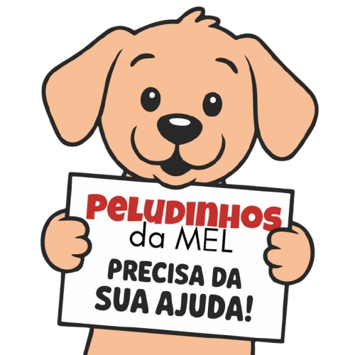 Cartaz cachorro